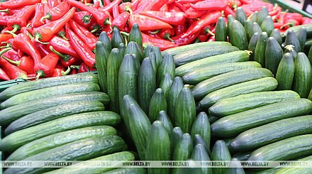 Брыло: в Беларуси уровень самообеспечения почти по всем продуктовым группам превышает уровень потребления