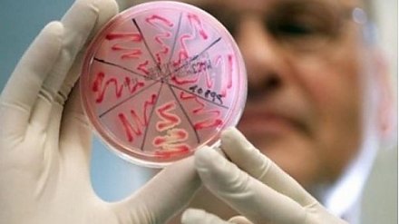 Менингококковая инфекция  и ее профилактика