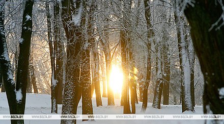 Местами гололед, по юго-востоку - до +9°С. Какой будет погода в Беларуси сегодня