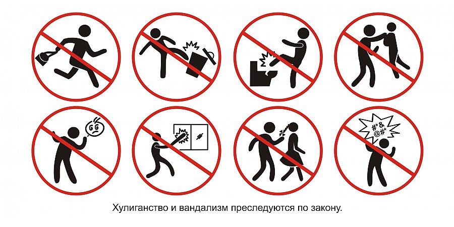 Побуждения — хулиганские, резонанс — общественный