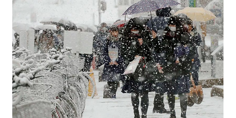 В Японии из-за сильных снегопадов частично нарушено авиасообщение