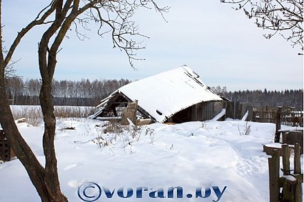 Дома-сироты есть и в Вороновском районе
