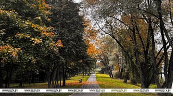 Осенняя классика. Сегодня будет облачно и дождливо