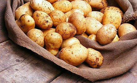 Правительство ввело лицензирование вывоза картофеля
