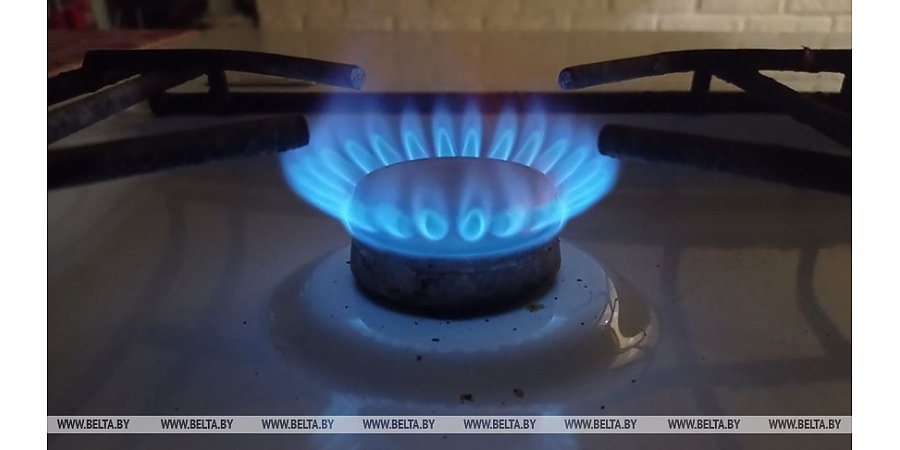 Финляндия готовится к прекращению в мае поставок газа из России