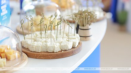 Беларусь представит национальную экспозицию на сельскохозяйственной выставке в Сербии