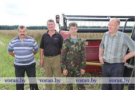 К жатве приступили на полях учебного хозяйства Вороновского колледжа сельскохозяйственного производства