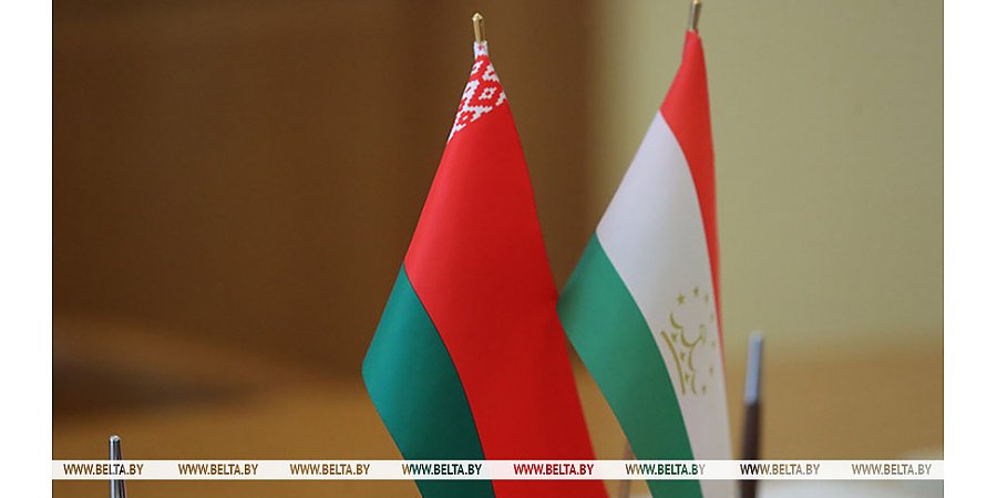 Турчин направился с рабочим визитом в Таджикистан для участия в заседании Совета глав правительств СНГ