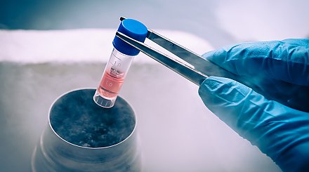 Банк стволовых клеток пациентов с редкими генетическими заболеваниями могут создать в Беларуси