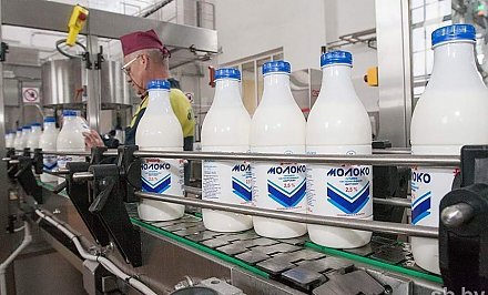 В Беларуси растет производство молока