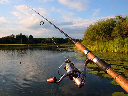 Конкурс среди рыбаков пройдет на Августовском канале