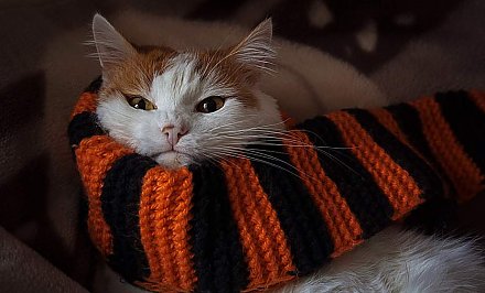 Сильные заморозки, мокрый снег и гололед. Погода в Беларуси в выходные