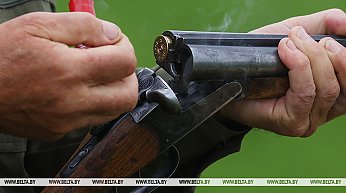 Охота на птиц в Беларуси: кого можно добывать