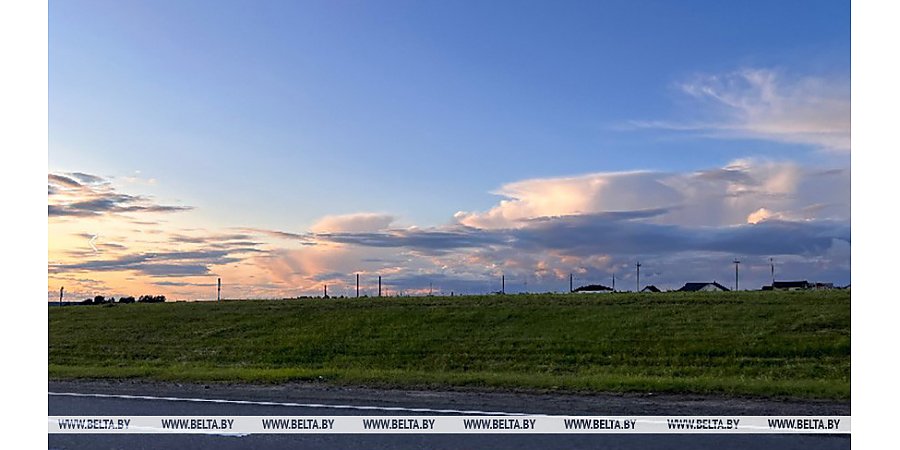 Оранжевый уровень опасности из-за порывистого ветра объявлен в Беларуси 25 июня