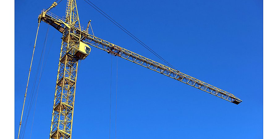 Новый целлюлозно-картонный комбинат построят в Беларуси 