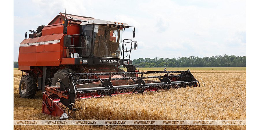 Минсельхозпрод об уборке зерновых: ожидаем урожай выше уровня прошлого года