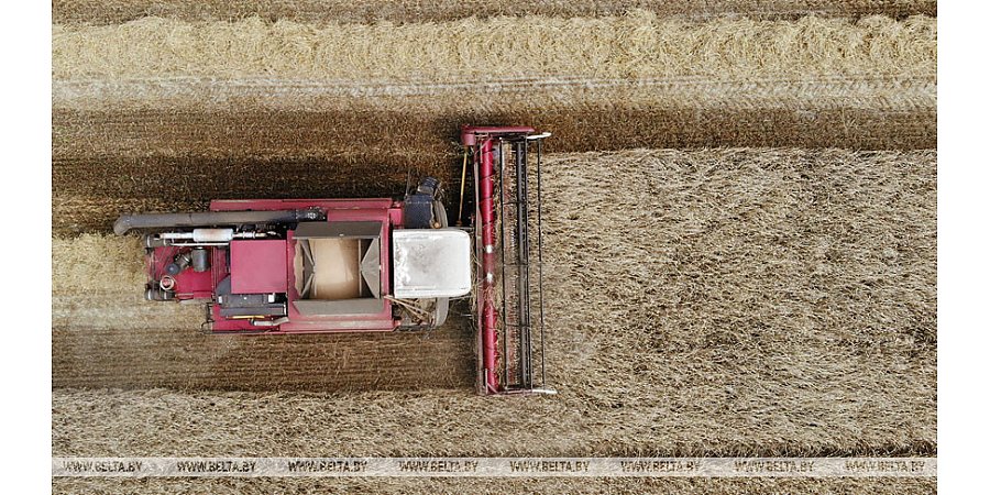 Правительство утвердило меры по подготовке к полевым работам и уборке урожая в 2022 году