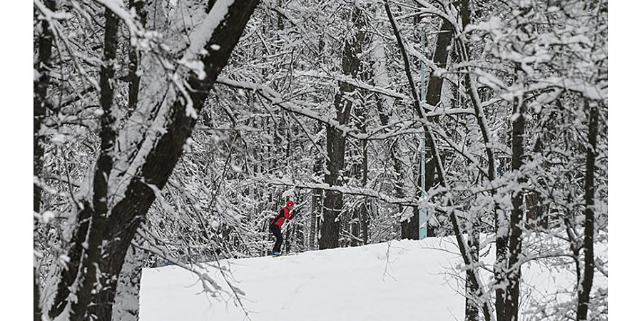 В Беларуси определен порядок использования лесов для отдыха и оздоровления