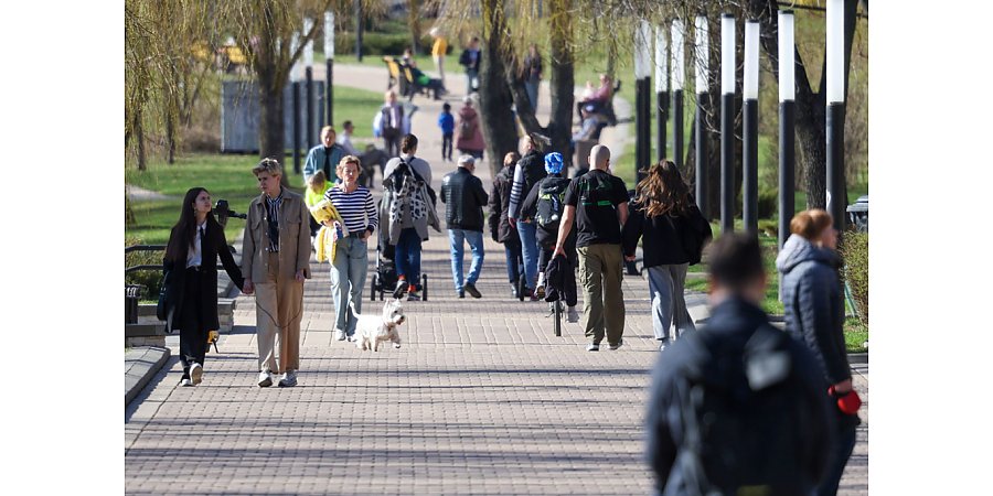 Школа без телефонов, рост пенсий, корректировка ПДД: какие еще изменения ждут белорусов с 1 сентября
