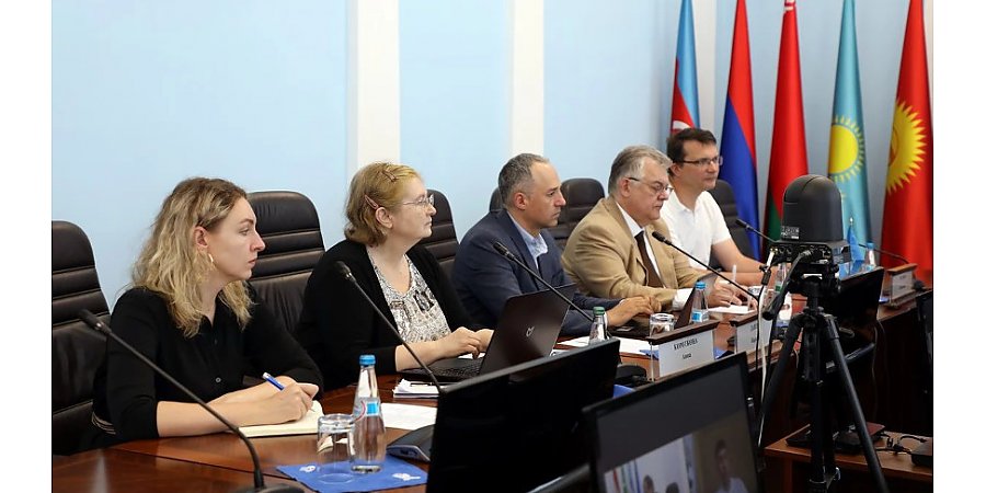 СНГ и ВОЗ заинтересованы взаимодействовать по развитию электронного здравоохранения