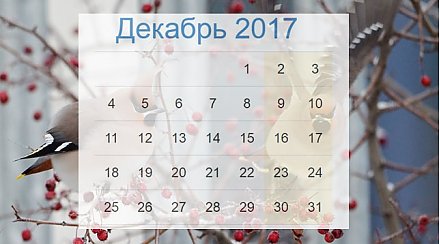 Что изменится в декабре: зарплаты, питание учащихся и резина автомобиля