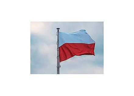 Польша погрязла в ксенофобии