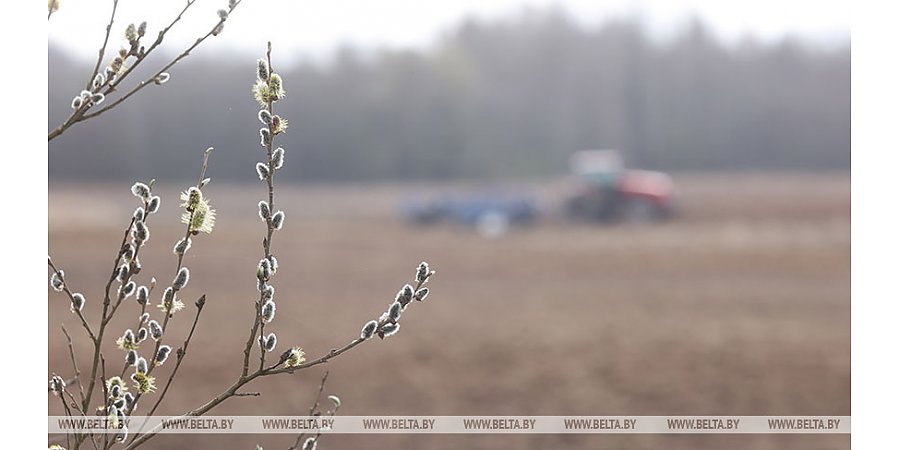 Новый вице-премьер Заяц рассказал о главных задачах белорусского АПК