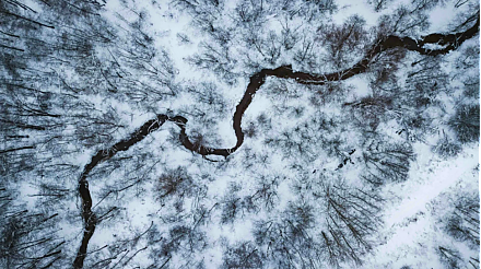 Избегайте мытья головы и покупки одежды: народные приметы на 9 февраля