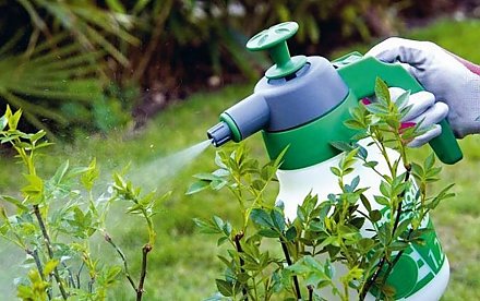 Защитить, но не навредить: как правильно использовать средства защиты растений