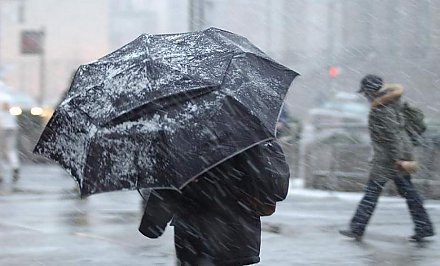 Внимание: сильный и шквалистый! Синоптики из-за ветра объявили оранжевый уровень опасности