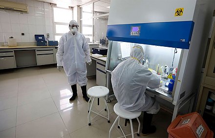 Ученые: у мужчин вырабатывается больше антител к COVID-19, чем у женщин