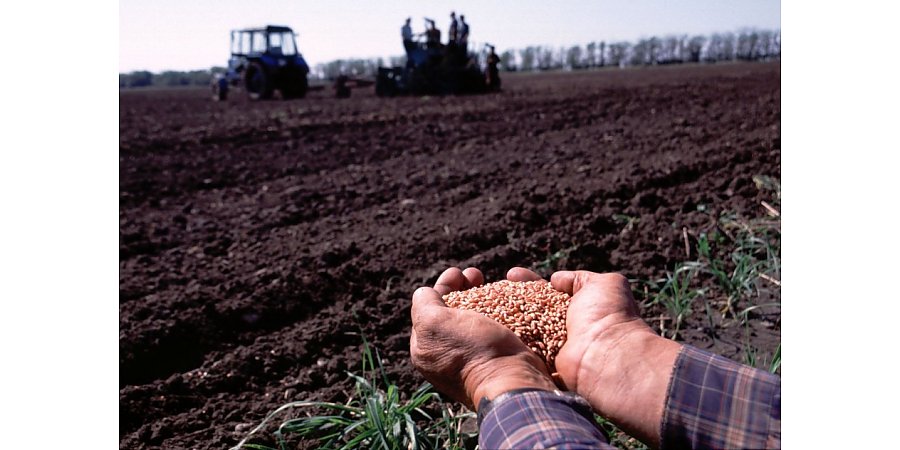 Весенние полевые работы под контролем сотрудников милиции