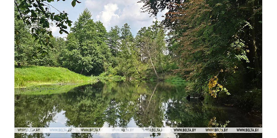 До +23°С, переменная облачность будет сегодня в Беларуси