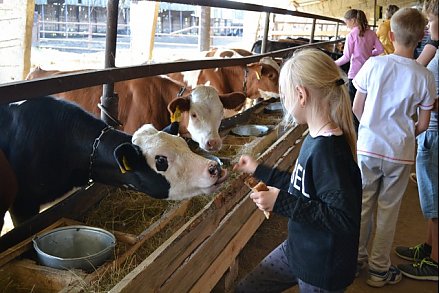 Выпускники агроклассов получат льготы при поступлении в вузы на сельхозспециальности