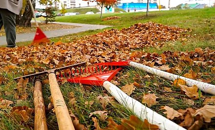 Толока: почему субботник у белорусов в крови