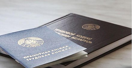 Диспансеризация, отпуска, графики: изменения в Трудовом кодексе разъяснили представители Минтруда