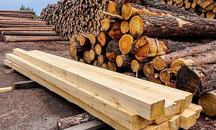 В Беларуси упрощена реализация продукции деревообработки на экспорт