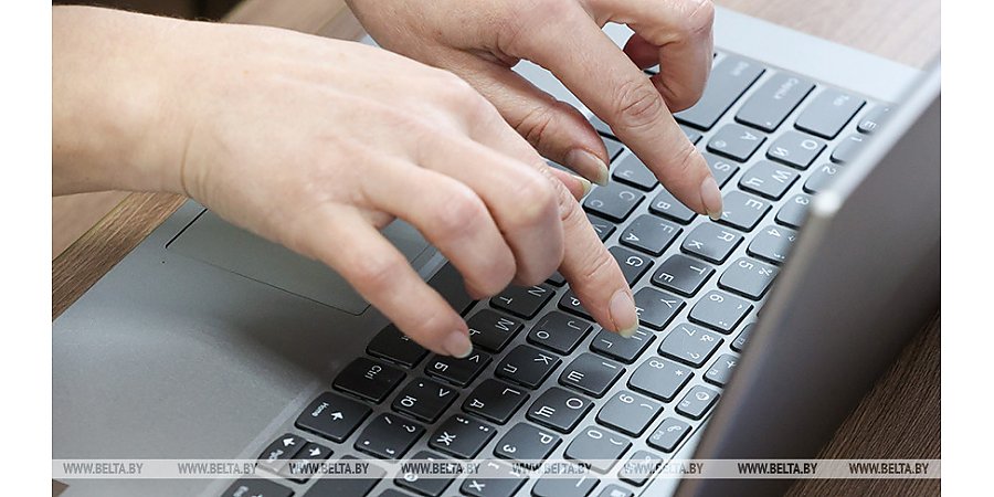 В Беларуси планируется перейти на электронные накладные при отгрузке круглых лесоматериалов