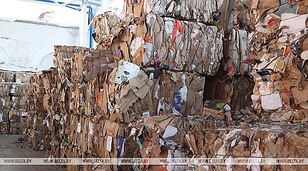 Белкоопсоюз в 2025 году закупил у населения вторсырья на 200 млн бел. руб. 