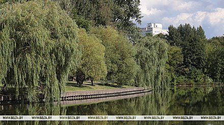 До +29°С и в основном без осадков. Какой будет погода в первый день осени 