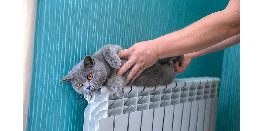 Белорусы больше не будут мерзнуть осенью? Изменился порядок проведения отопительного сезона