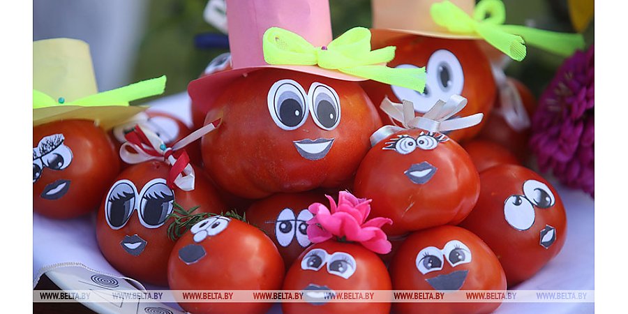 Томатная битва и кулинарный поединок: Ивье проведет праздник помидора 13 августа