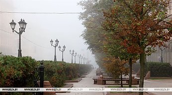 Дожди и туманы в утреннее время. Какую погоду ждать белорусам 19 сентября