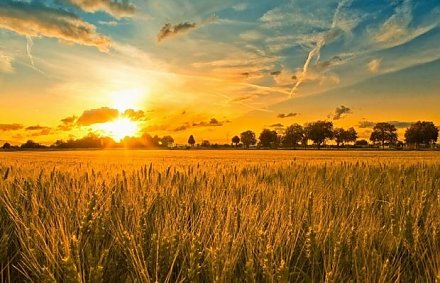 Александр Лукашенко недоволен Белгидрометом: надо или разгонять, или приводить в чувства