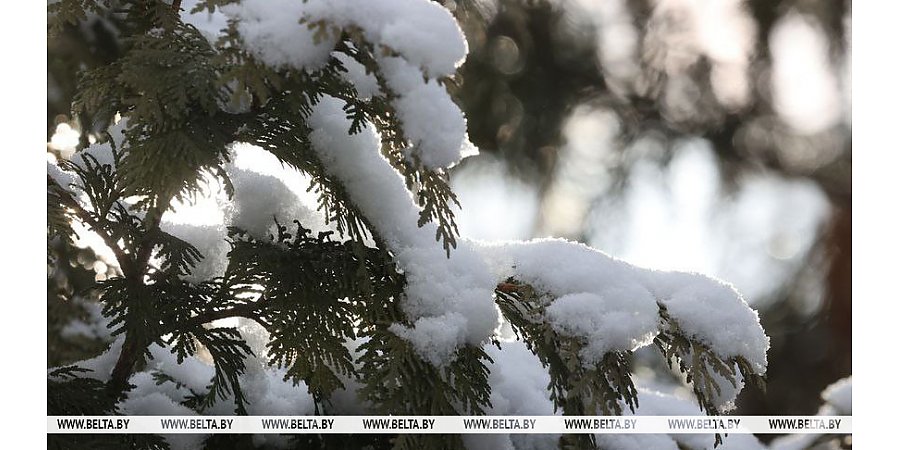 Оранжевый уровень опасности объявлен 15 марта по юго-востоку Беларуси из-за снегопада