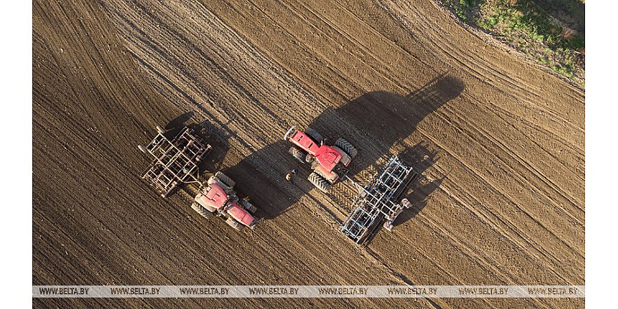 В Беларуси яровые культуры посеяли более чем на половине площадей
