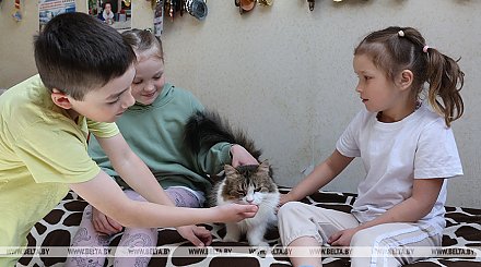 Более 153 тыс. депозитных счетов открыто в Беларуси по программе "Семейный капитал"