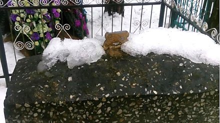 Следственный комитет просит помочь