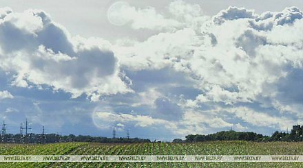 В Беларуси снижаются выбросы загрязняющих веществ в воздух