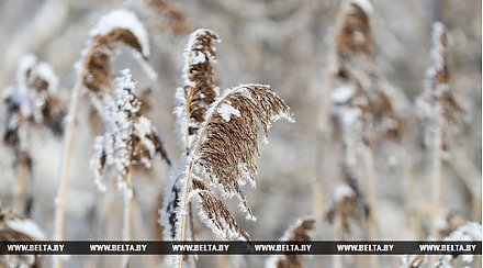 Оранжевый уровень опасности из-за гололеда объявлен в Беларуси 25 января